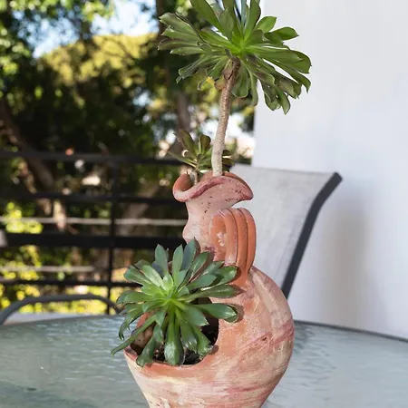 Filerimos Center In Rhodes Διαμέρισμα Ιαλυσός Ρόδος